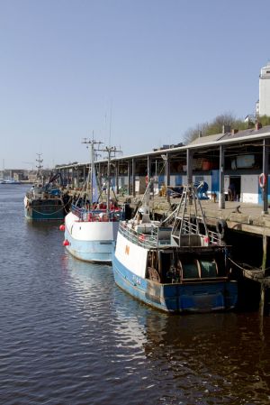walkworth grange  fish quay 9 sm.jpg